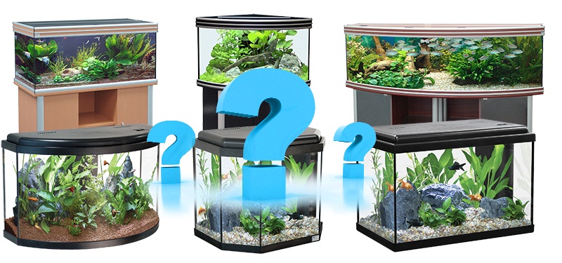 Какой лучше выбрать аквариум?