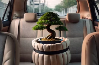 https://saddoma.info/2021/12/vyrashivanie-bonsai-iz-sheflery/